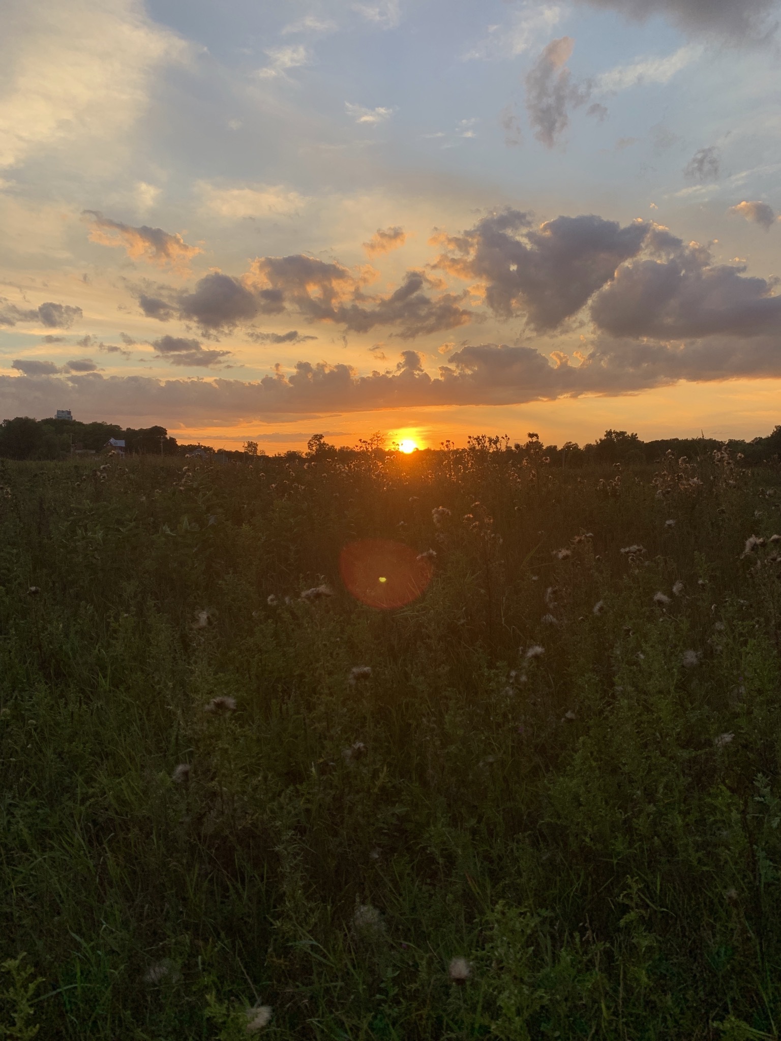 cutegiraffe OnlyFans header