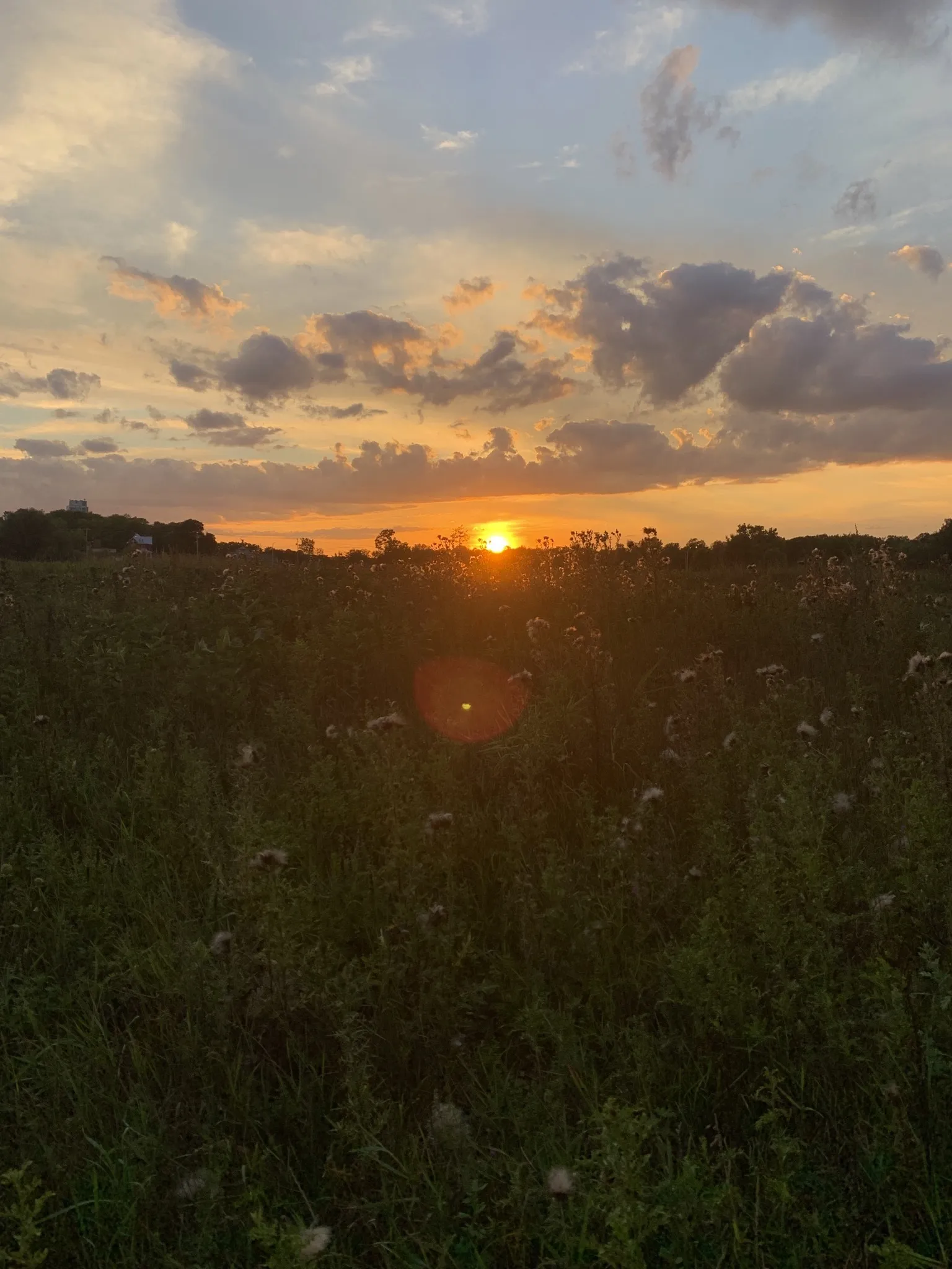 cutegiraffe OnlyFans header