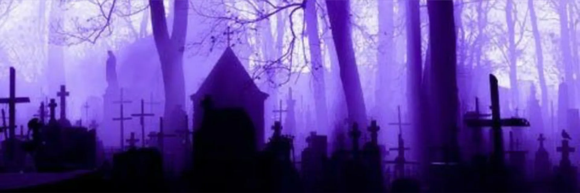 Reashy OnlyFans header