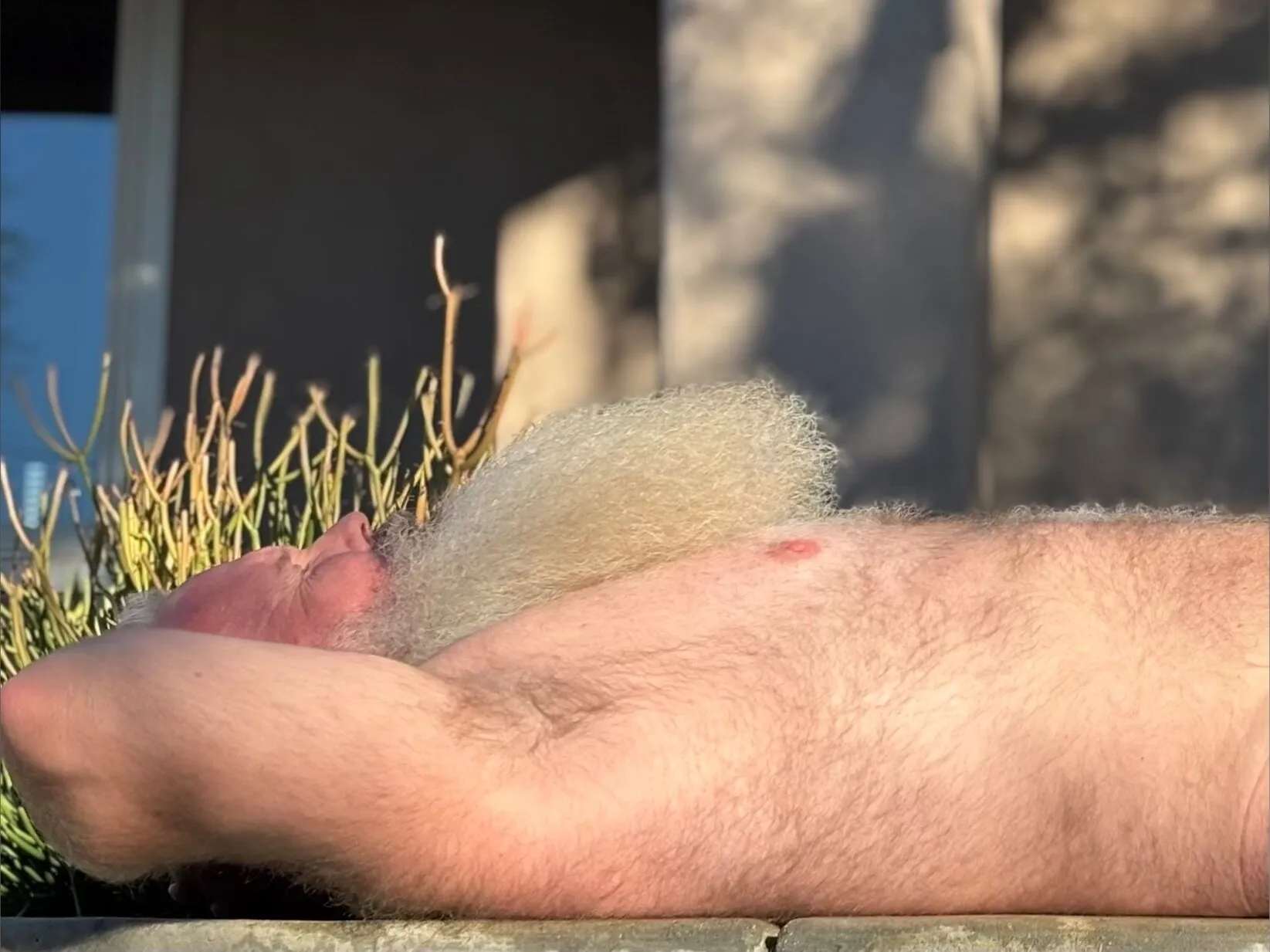 Say Uncle OnlyFans header