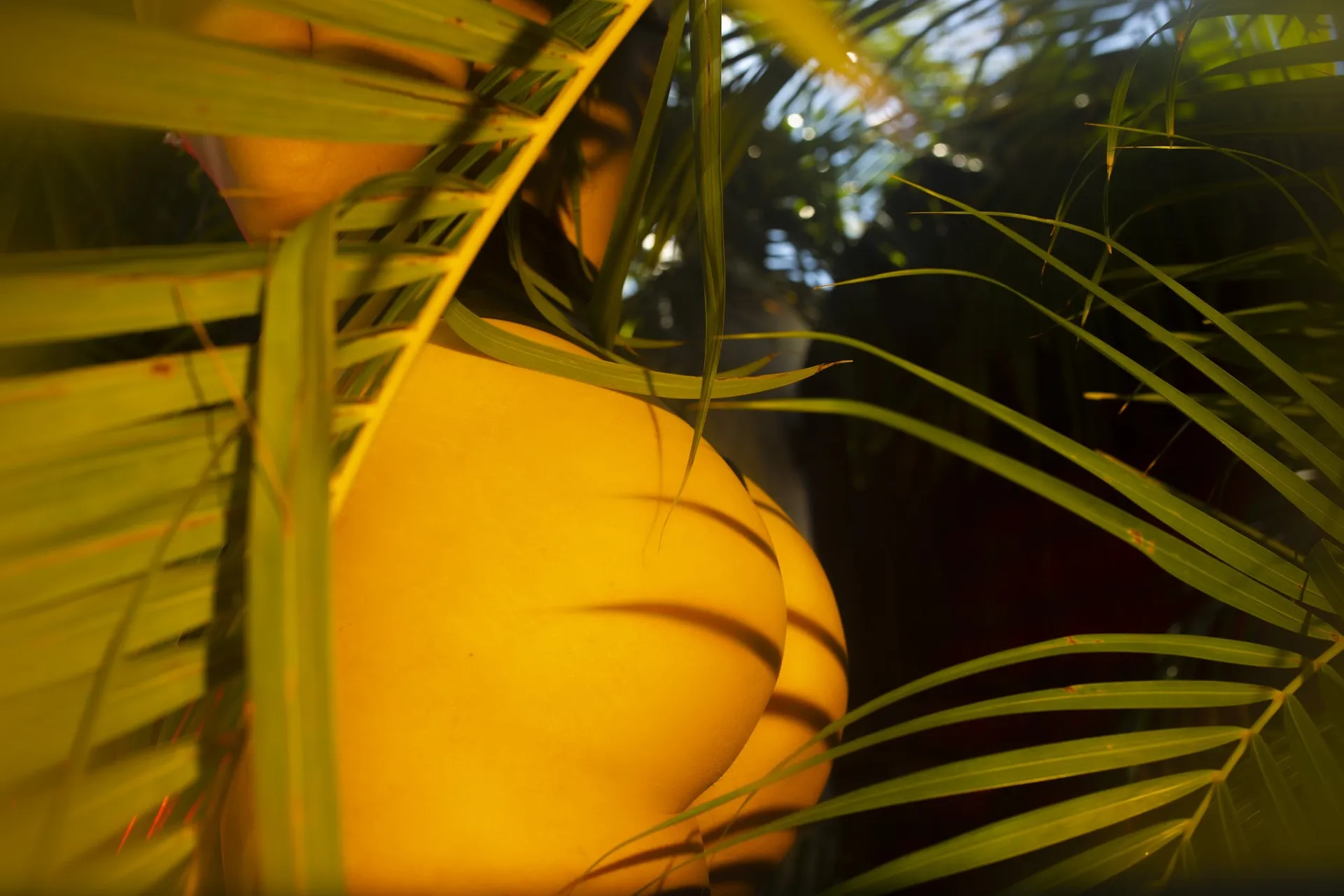 Dahlia Luxxx OnlyFans header