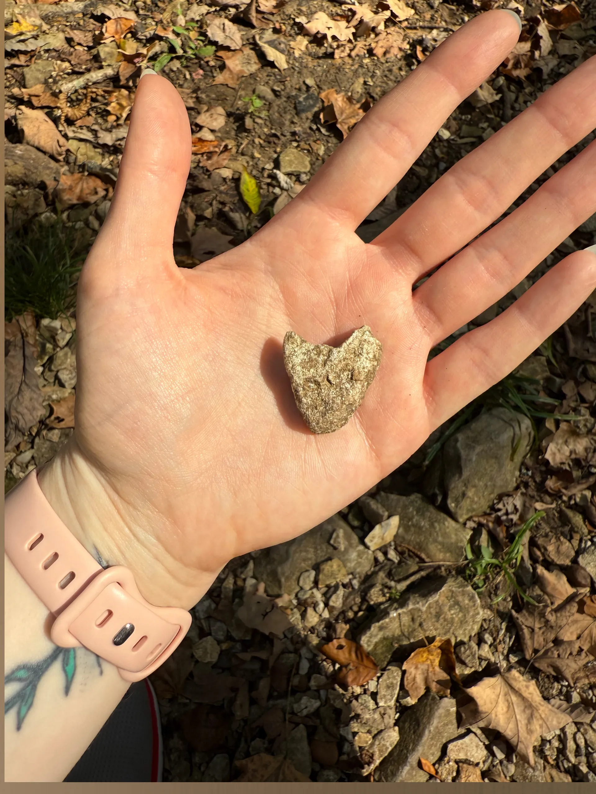 🧡 𝒢𝒾𝓃𝑔𝑒𝓇 𝑅𝒶𝓅𝓊𝓃𝓏𝑒𝓁- Retiring 🧡 OnlyFans header