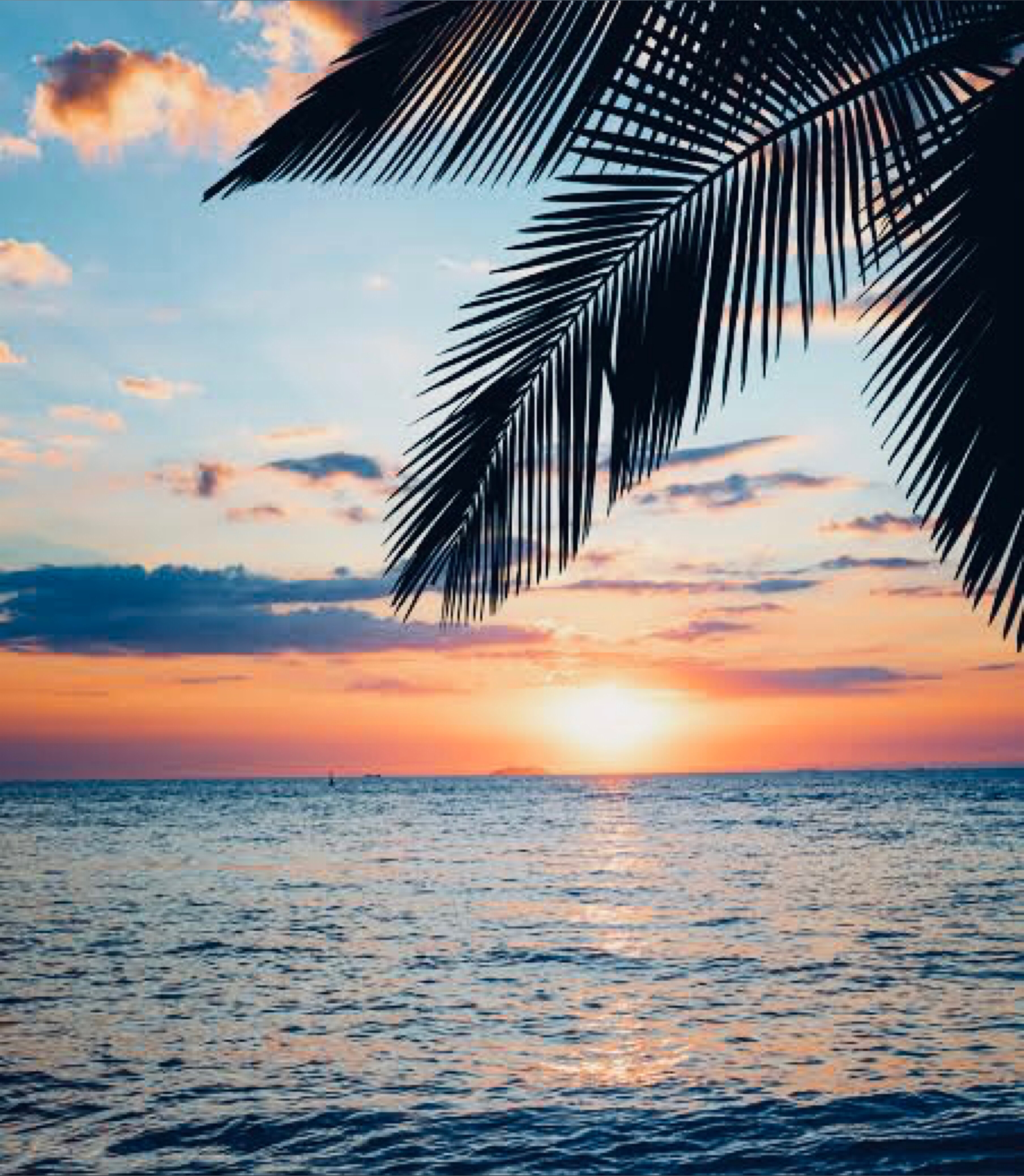 Darrell Owen OnlyFans header