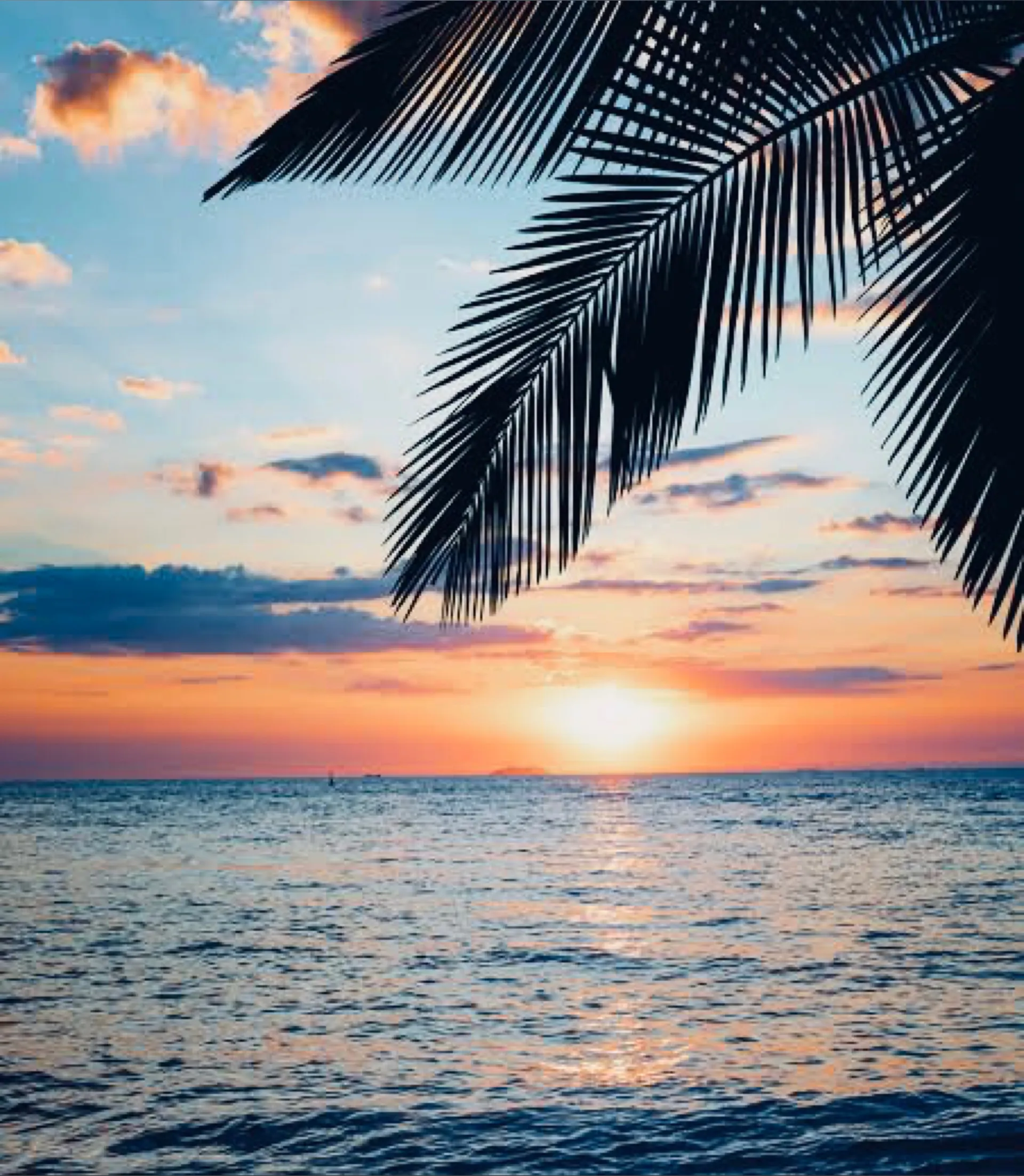 Darrell Owen OnlyFans header