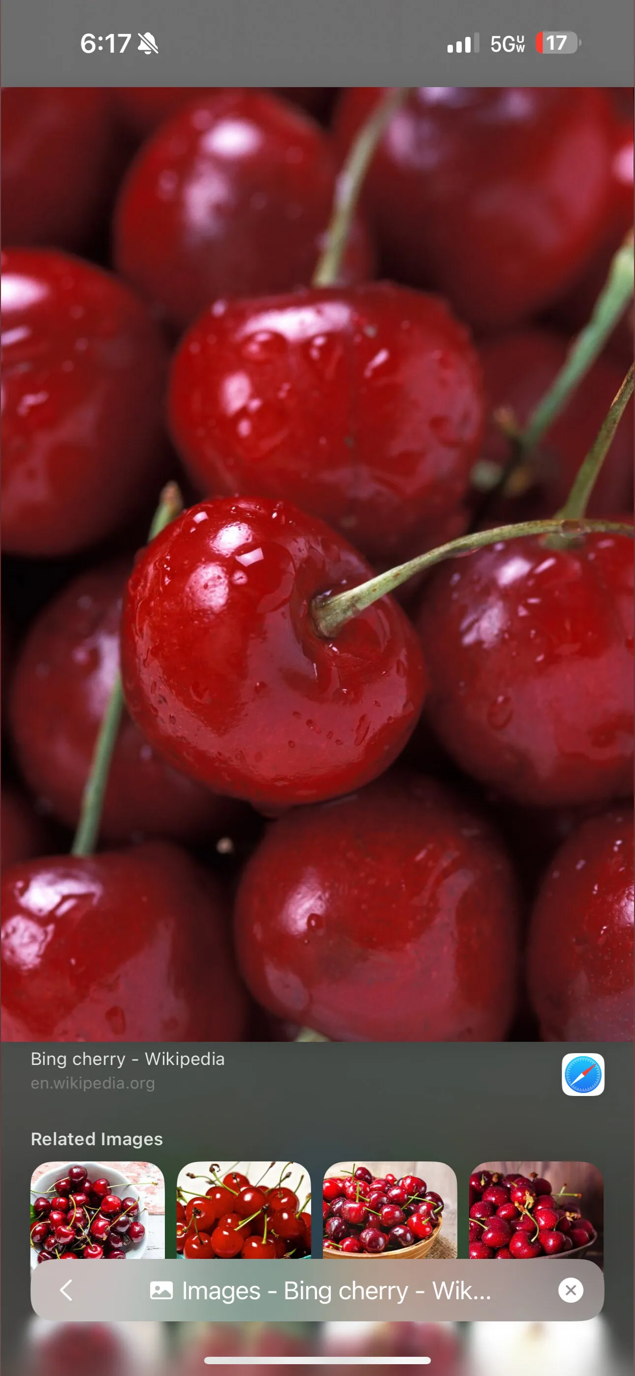 Syd Cherries 🍒 OnlyFans header