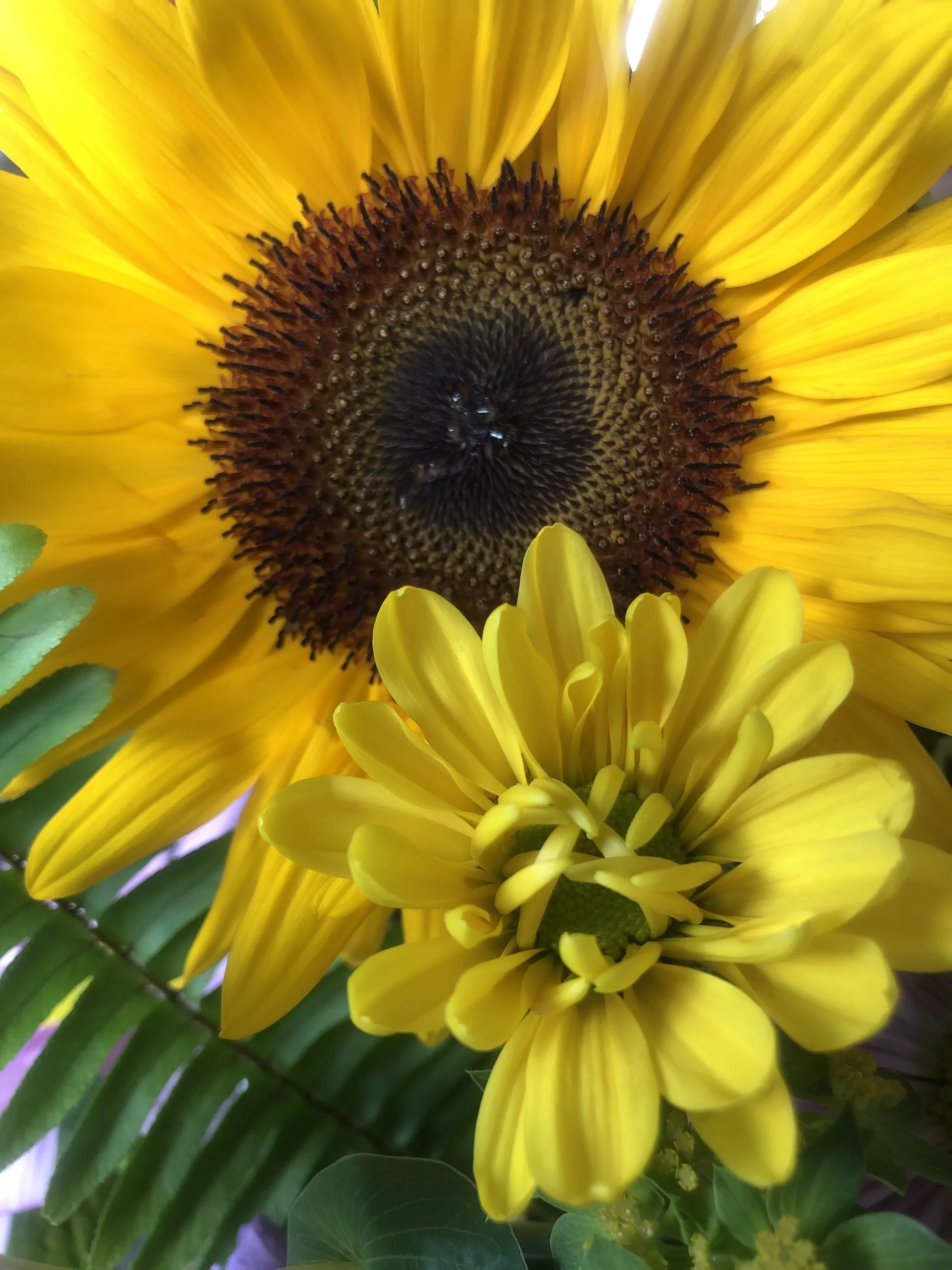 digitalprincxss OnlyFans header