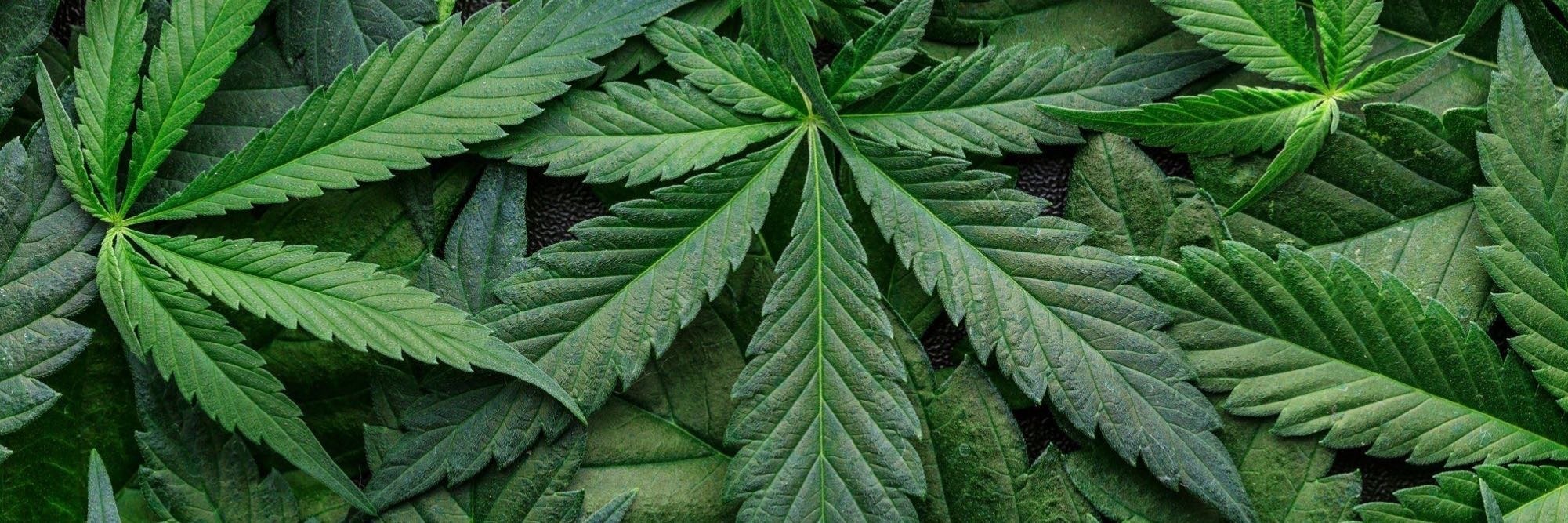 Lucy Deveraux OnlyFans header