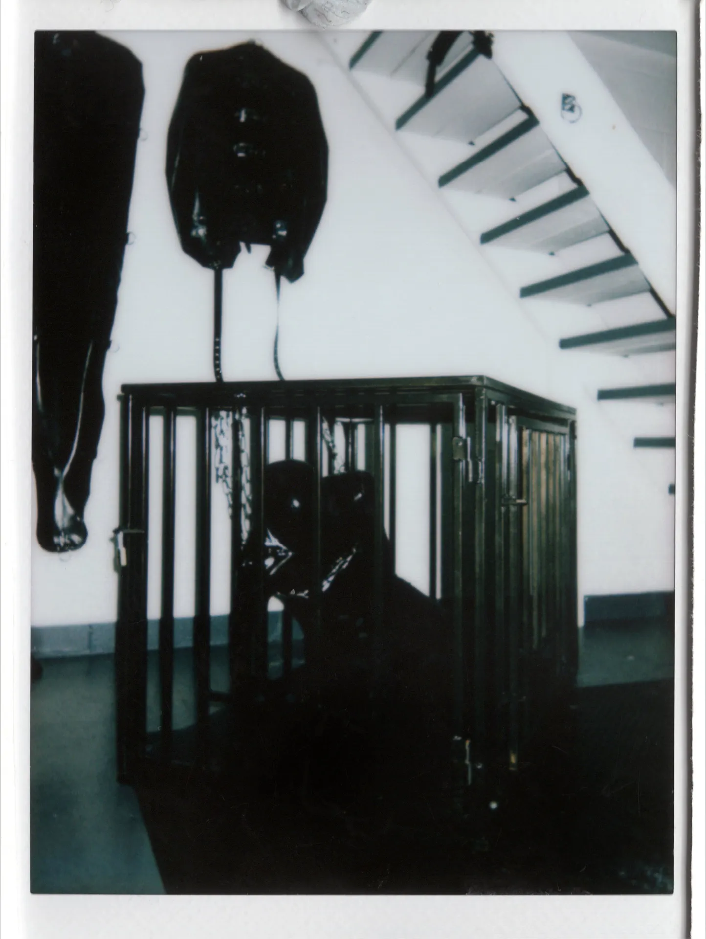 Miss Vera Violette OnlyFans header