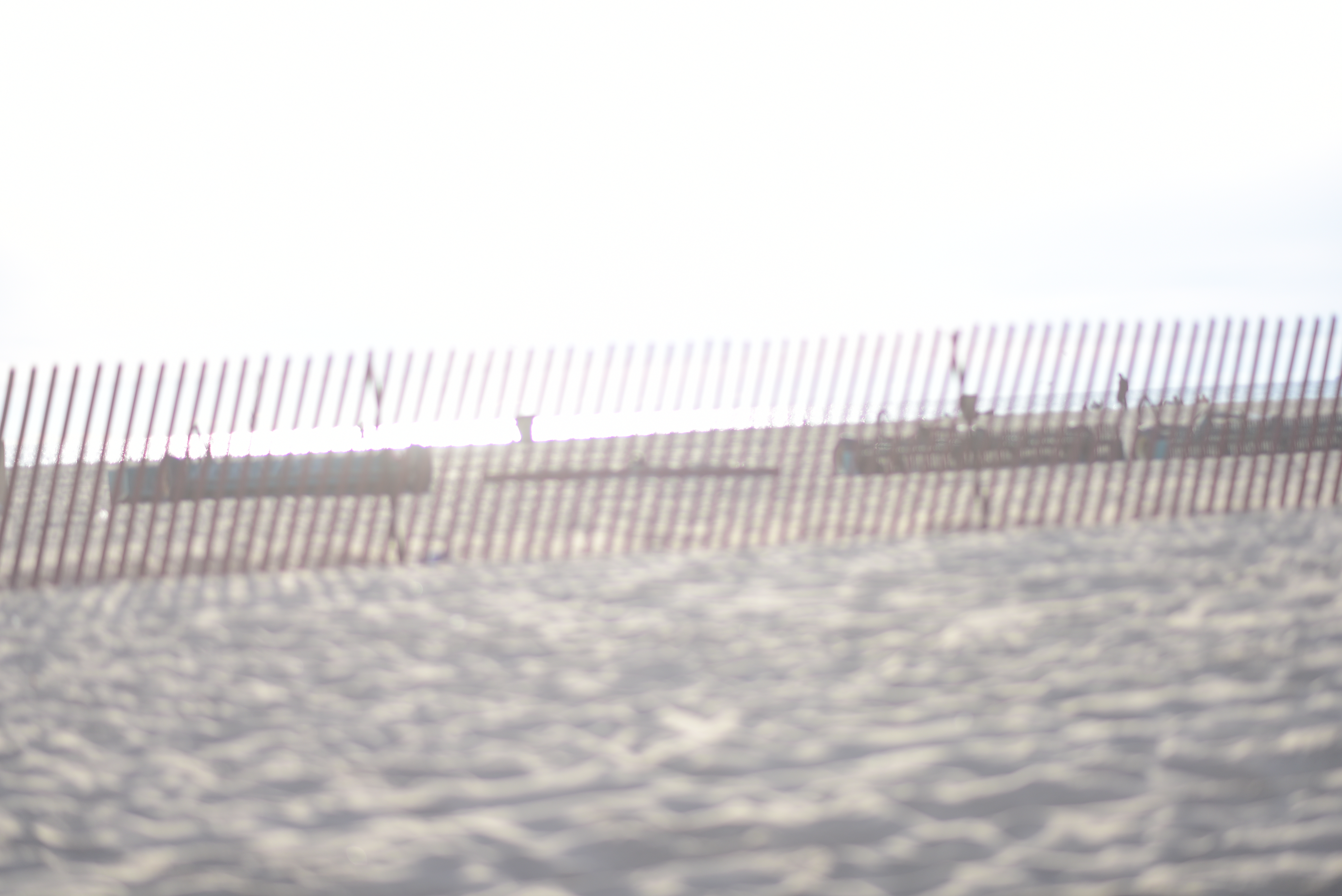 Dominique Rystan OnlyFans header