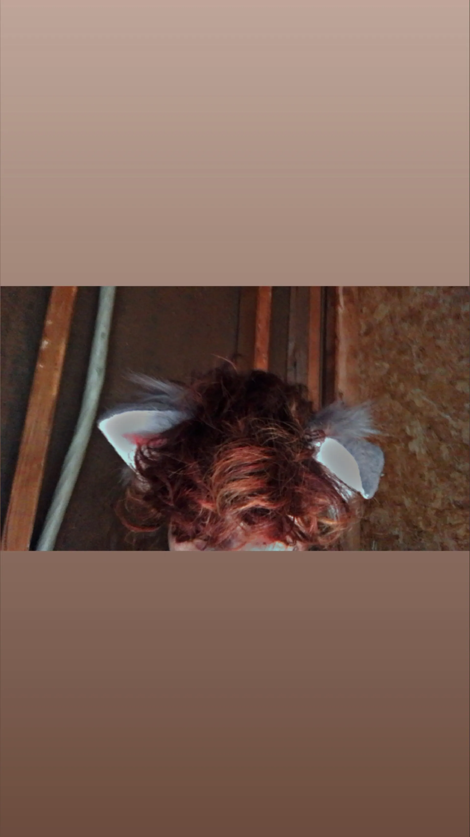 ✨Damage the Fox Pup✨ OnlyFans header