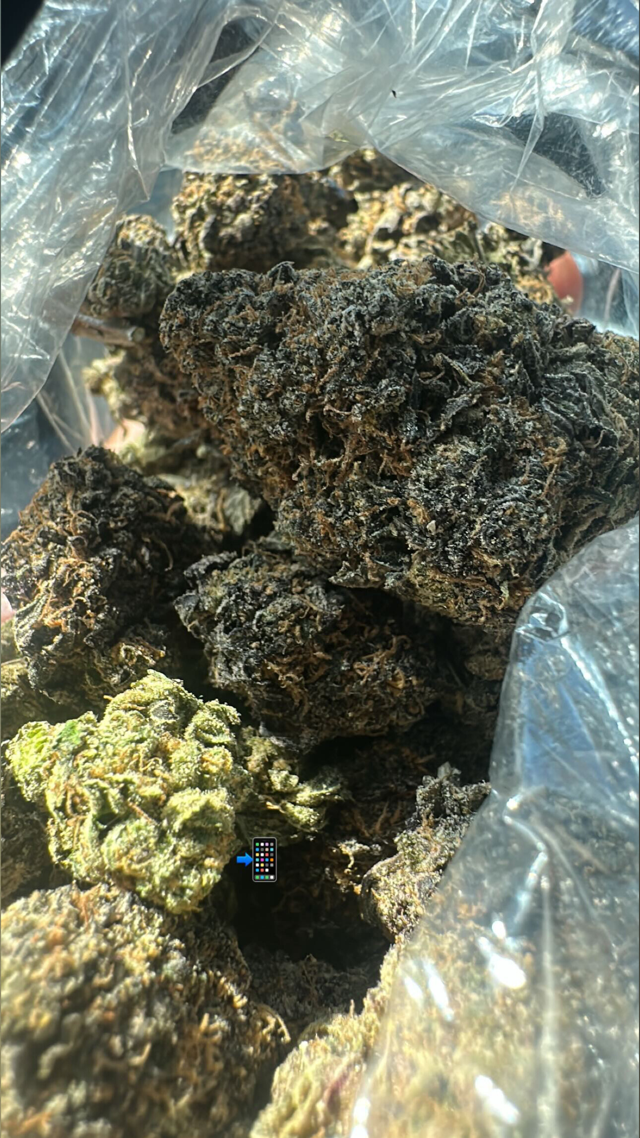 DWN🧛🏽 OnlyFans header