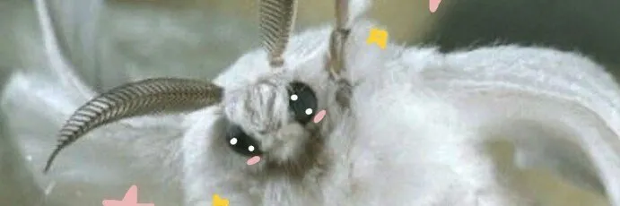 𝐸𝒹𝑒𝓃 ⸸ 𝚂𝚎𝚖𝚎𝚗 𝙳𝚎𝚖♡𝚗 ⸸ OnlyFans header