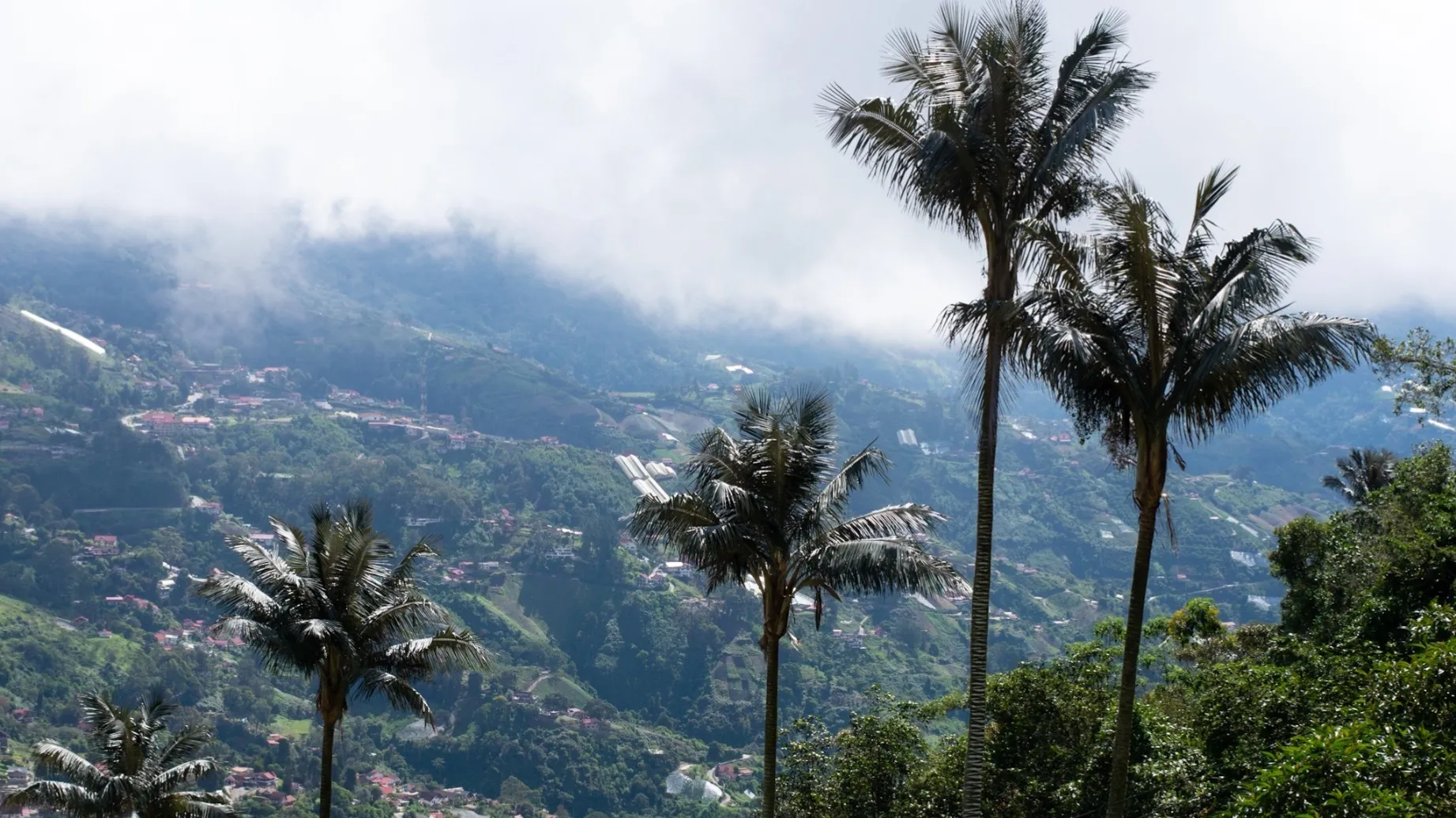 Edinson RAW FREE OnlyFans header