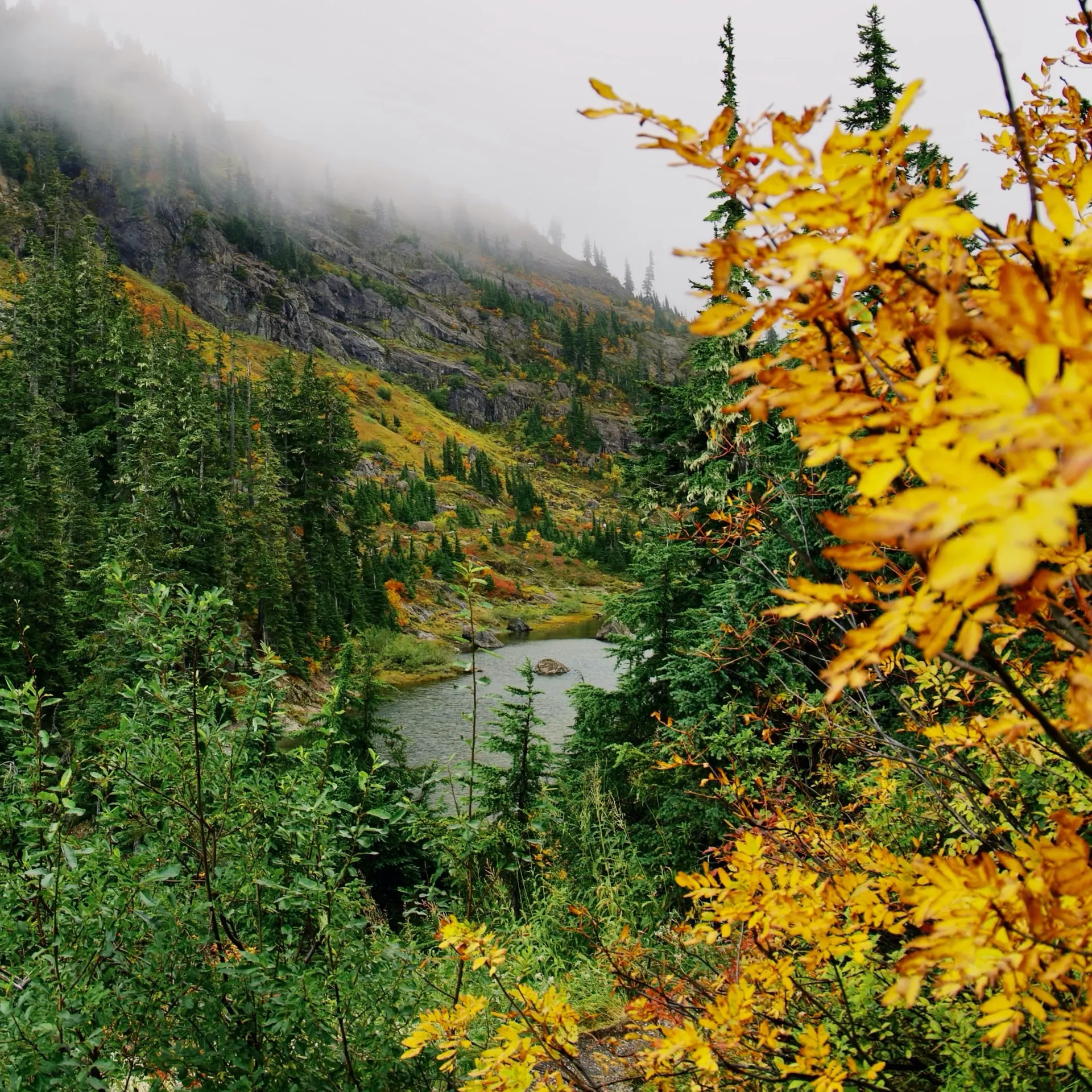 Elara Elias OnlyFans header