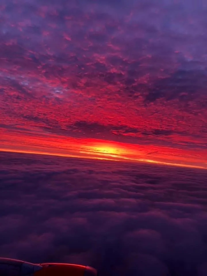 𝑻𝒆𝒆 😻🍯💦 OnlyFans header