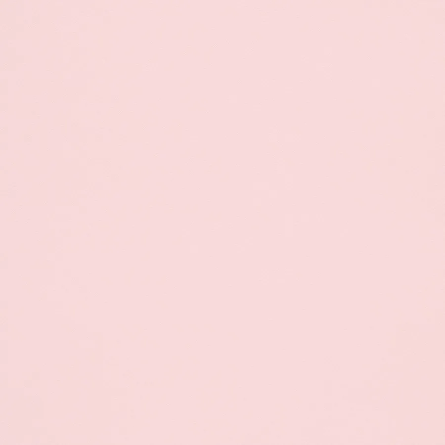 Elizabeth OnlyFans header