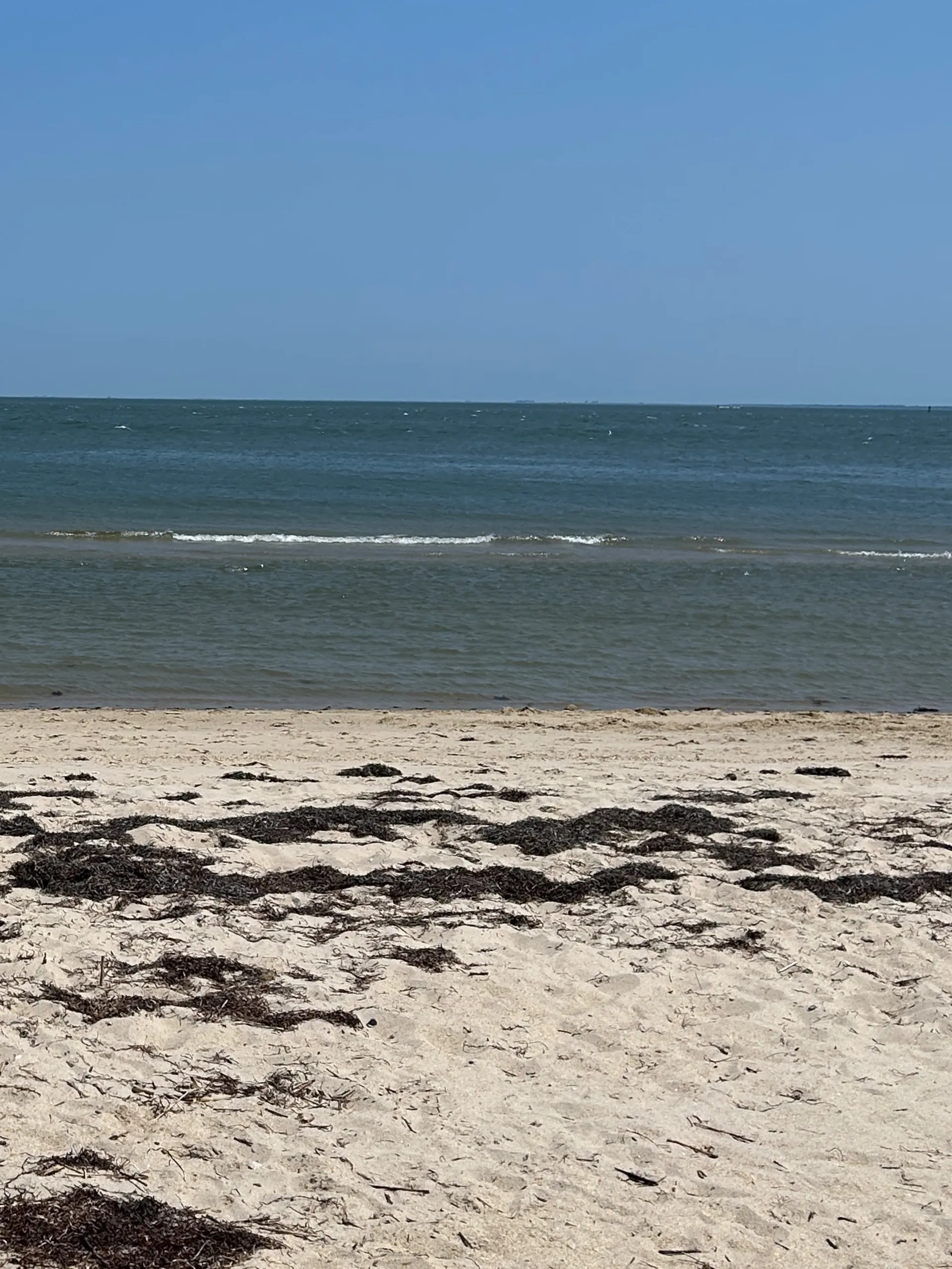 Rosey OnlyFans header