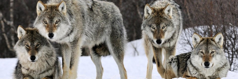 Facial queen 💦💦💦 OnlyFans header