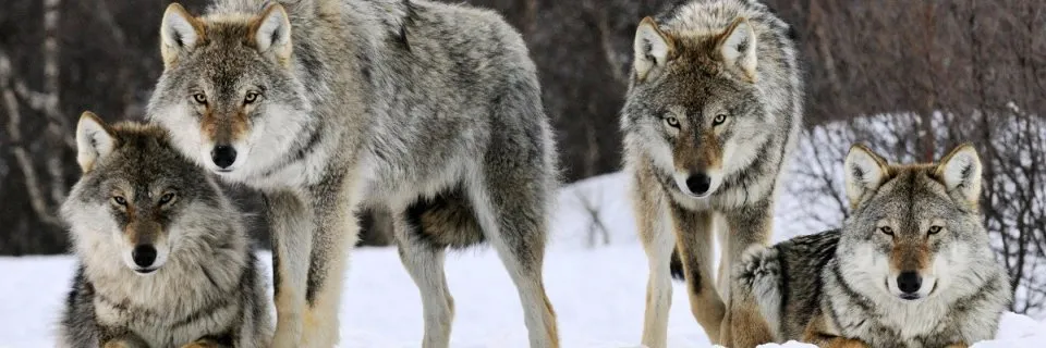 Facial queen 💦💦💦 OnlyFans header