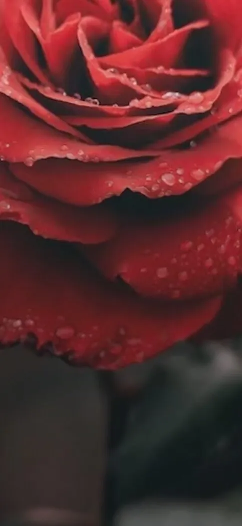 emilyy😫 OnlyFans header