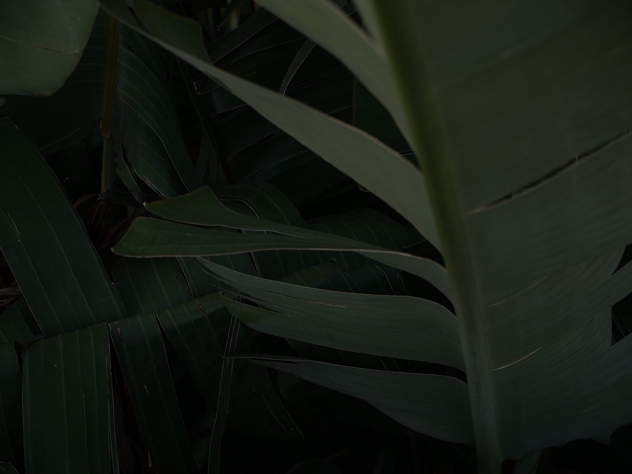 Emma Christina OnlyFans header