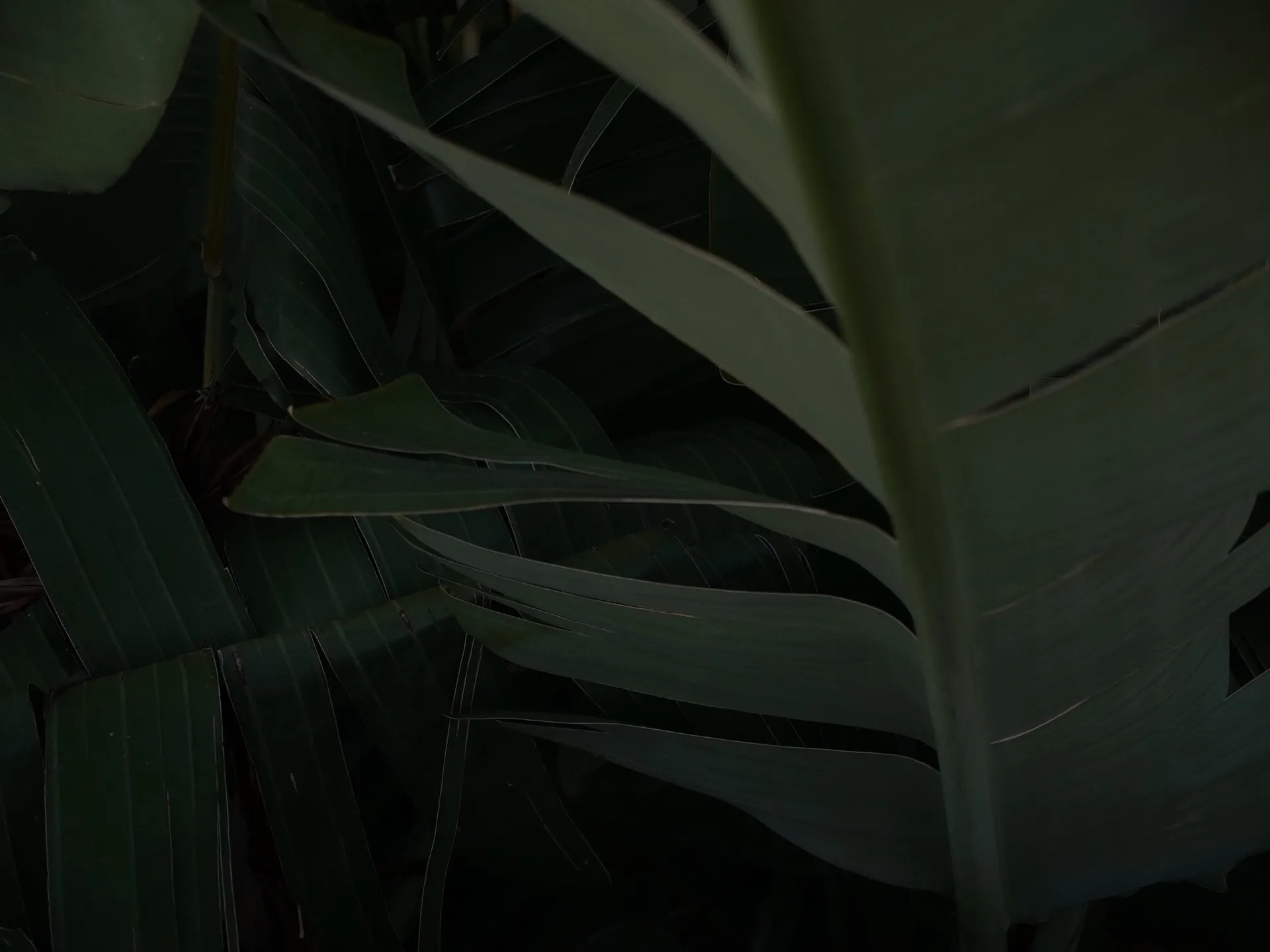 Emma Christina OnlyFans header