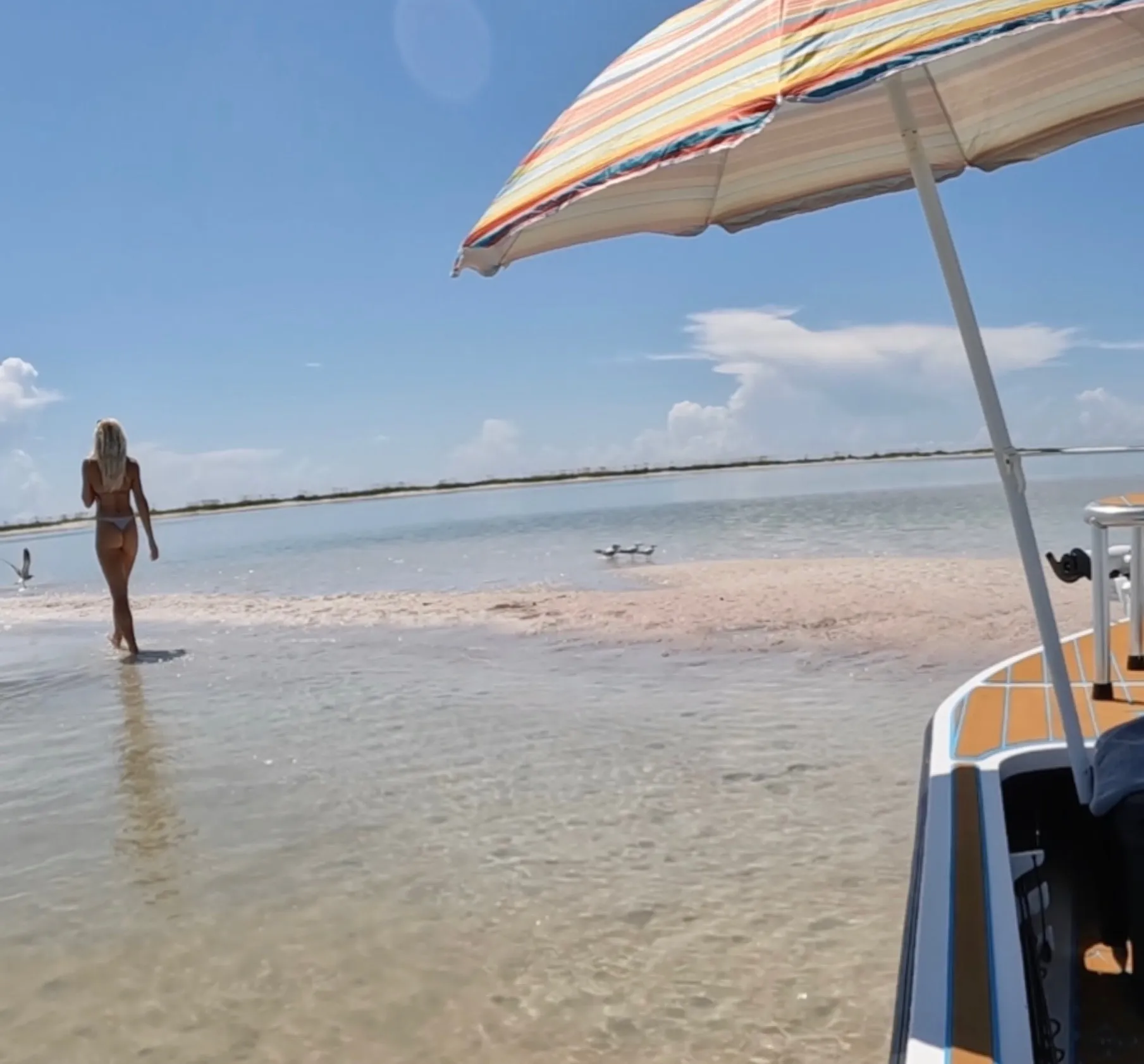 Erica Lynn OnlyFans header