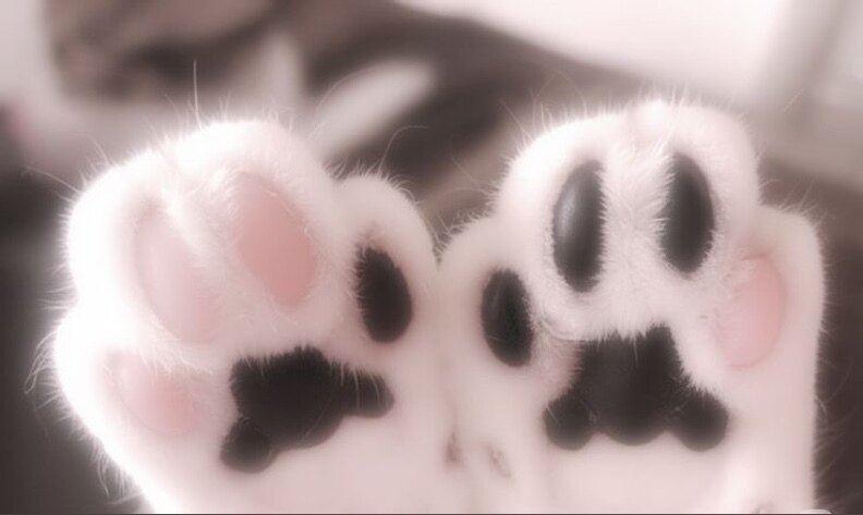 𝑬𝒔𝒕𝒉𝒆𝒓 ♡ OnlyFans header