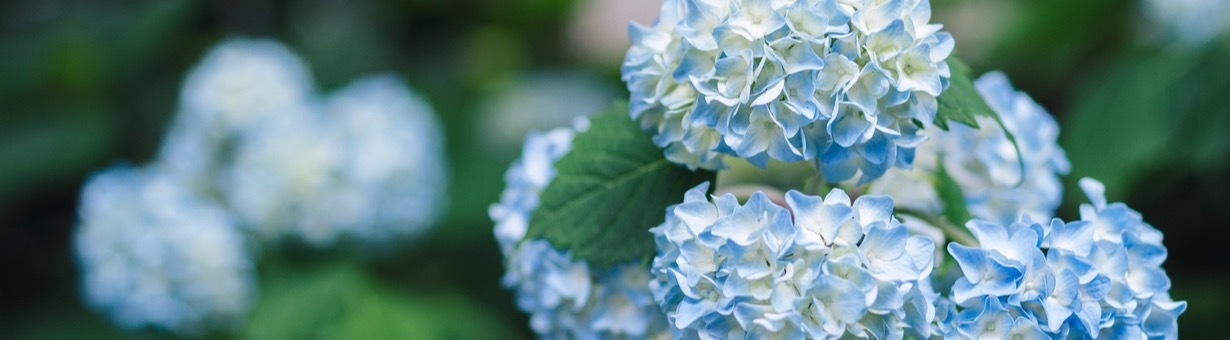 TS Eva Lord 🏳️‍⚧️ OnlyFans header