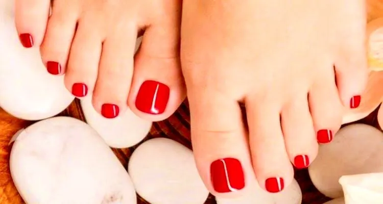 Evelyn OnlyFans header