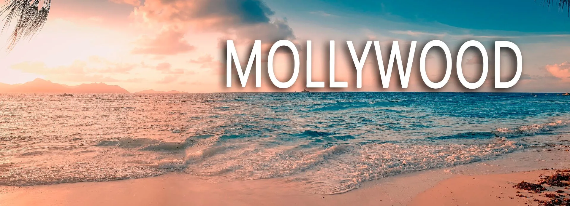 ✨💥 EXCITEASE 💥✨ OnlyFans header