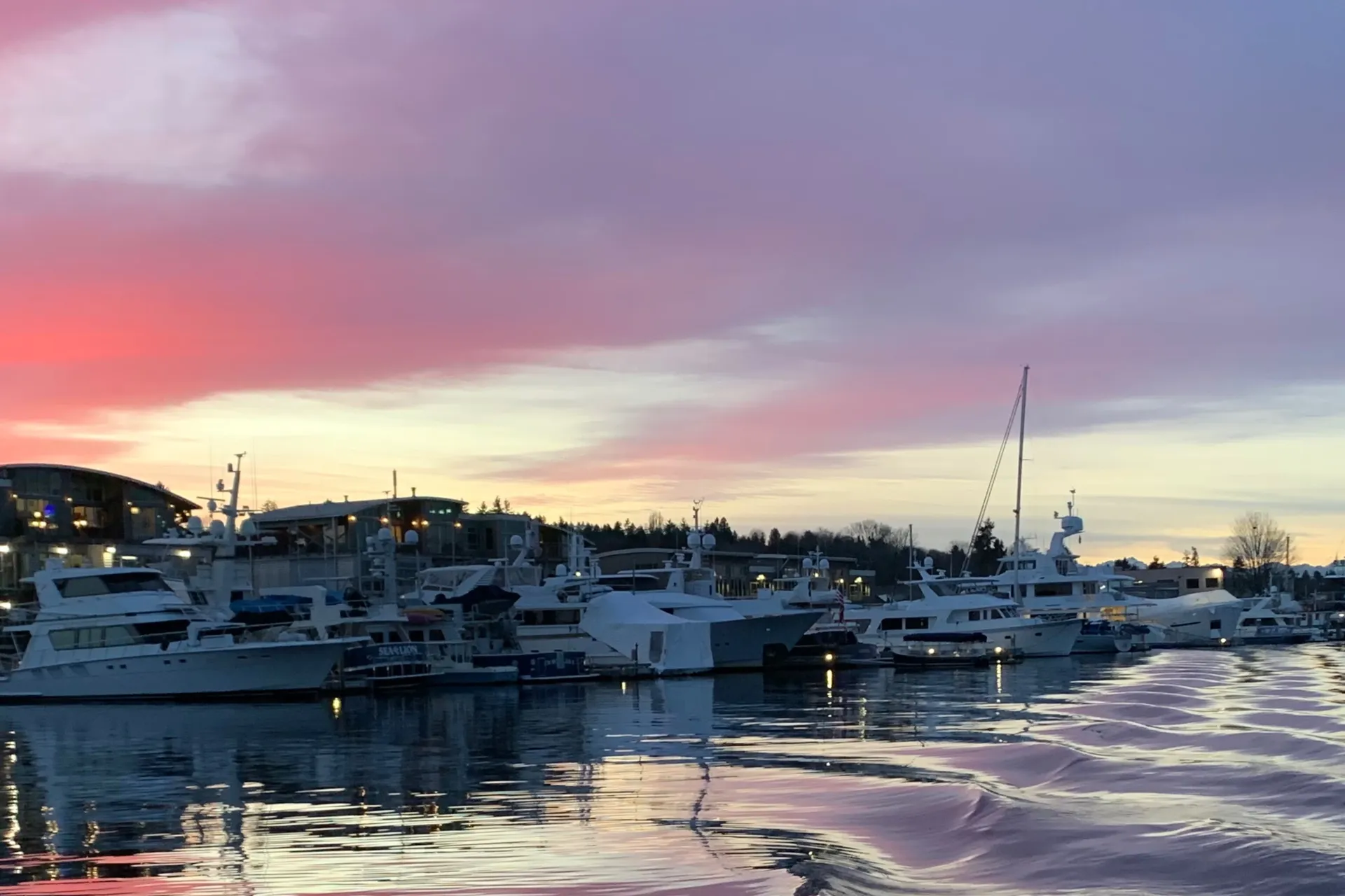 Luna Rain OnlyFans header