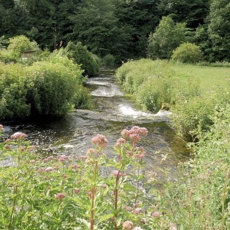 Fairy Feet 🧚🏻‍♂️✨💗 OnlyFans header