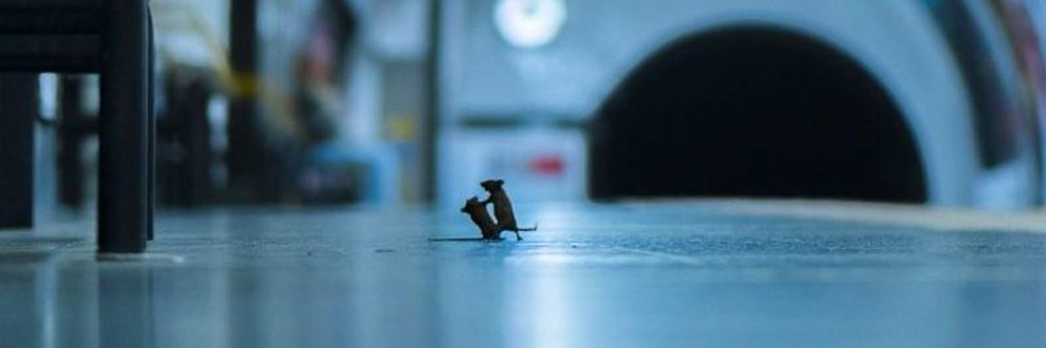 é o quê, galado??? OnlyFans header