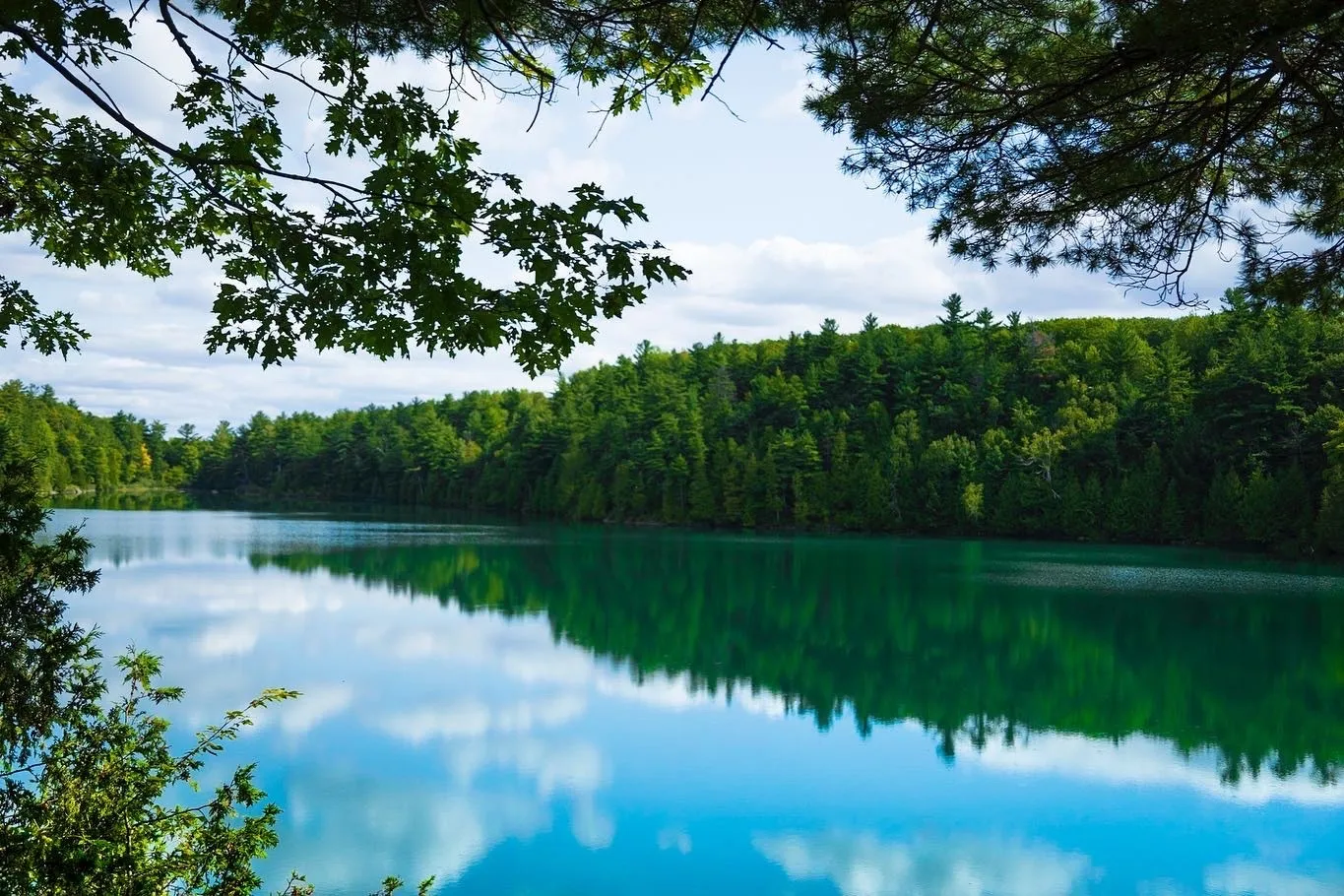 Fabian OnlyFans header