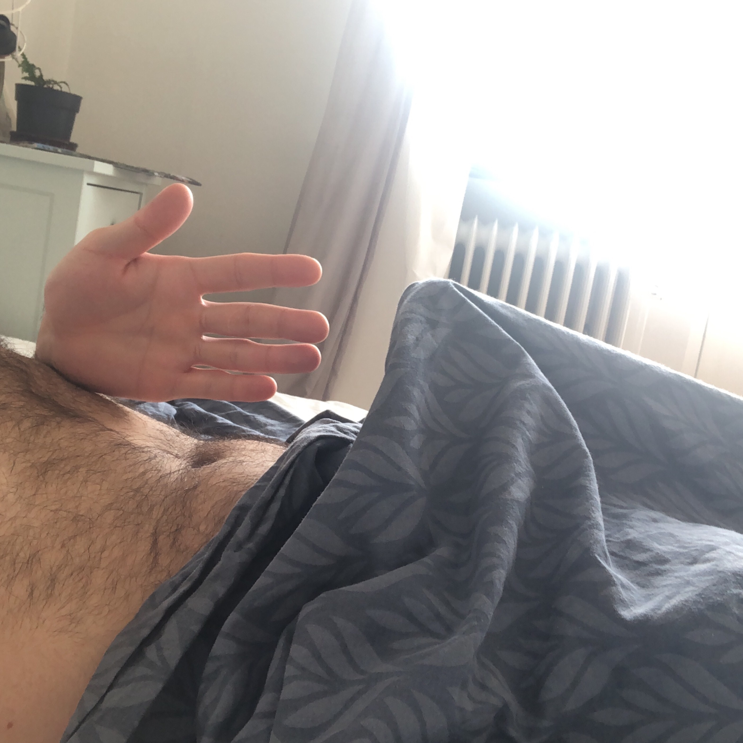 Hell’s Kitchen OnlyFans