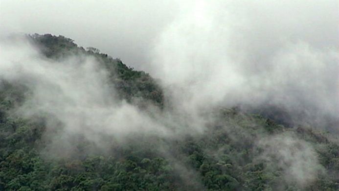 Fabi OnlyFans header