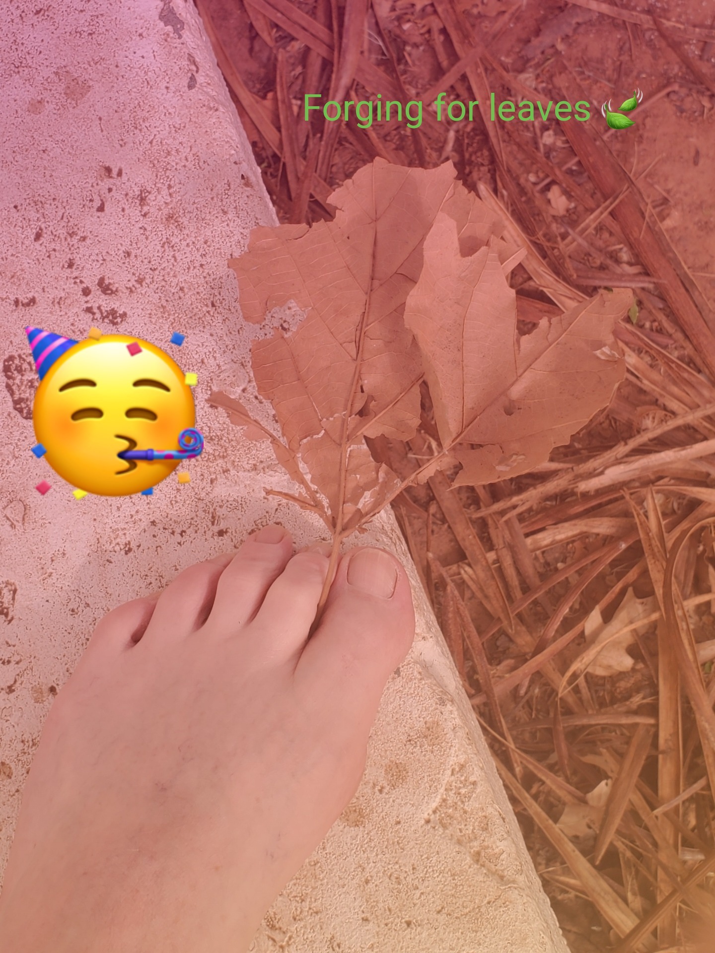 ♤Feet♤First♤ OnlyFans