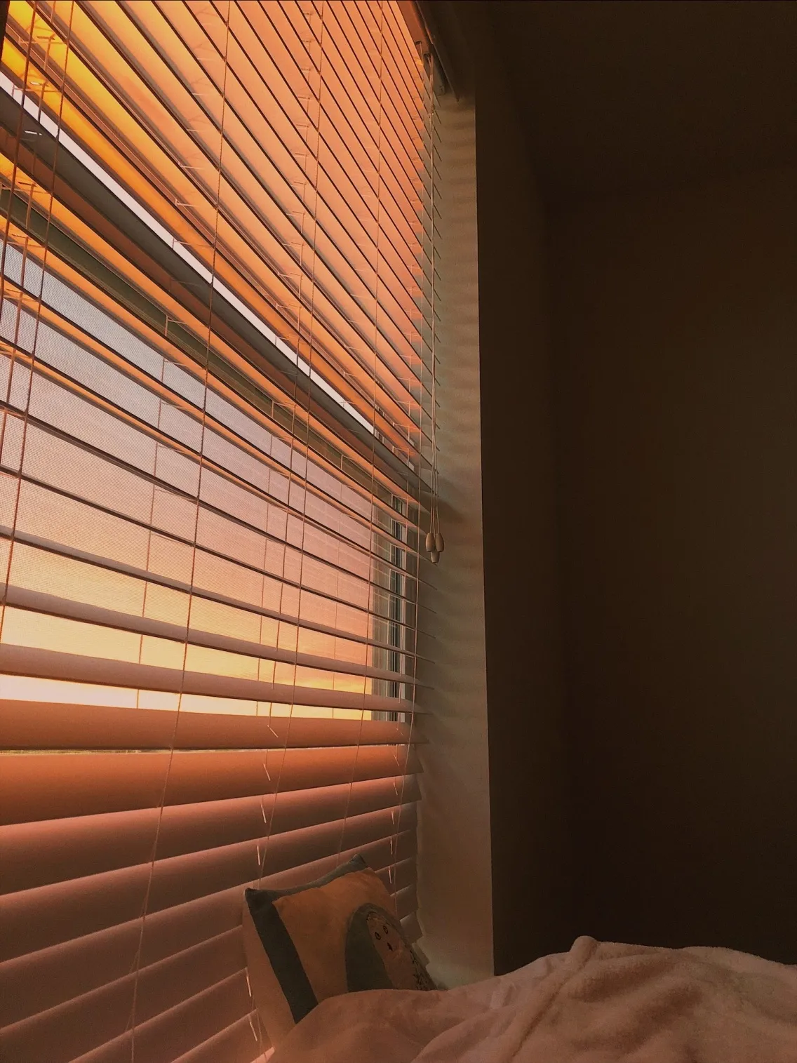 faceless lina ♡ OnlyFans header