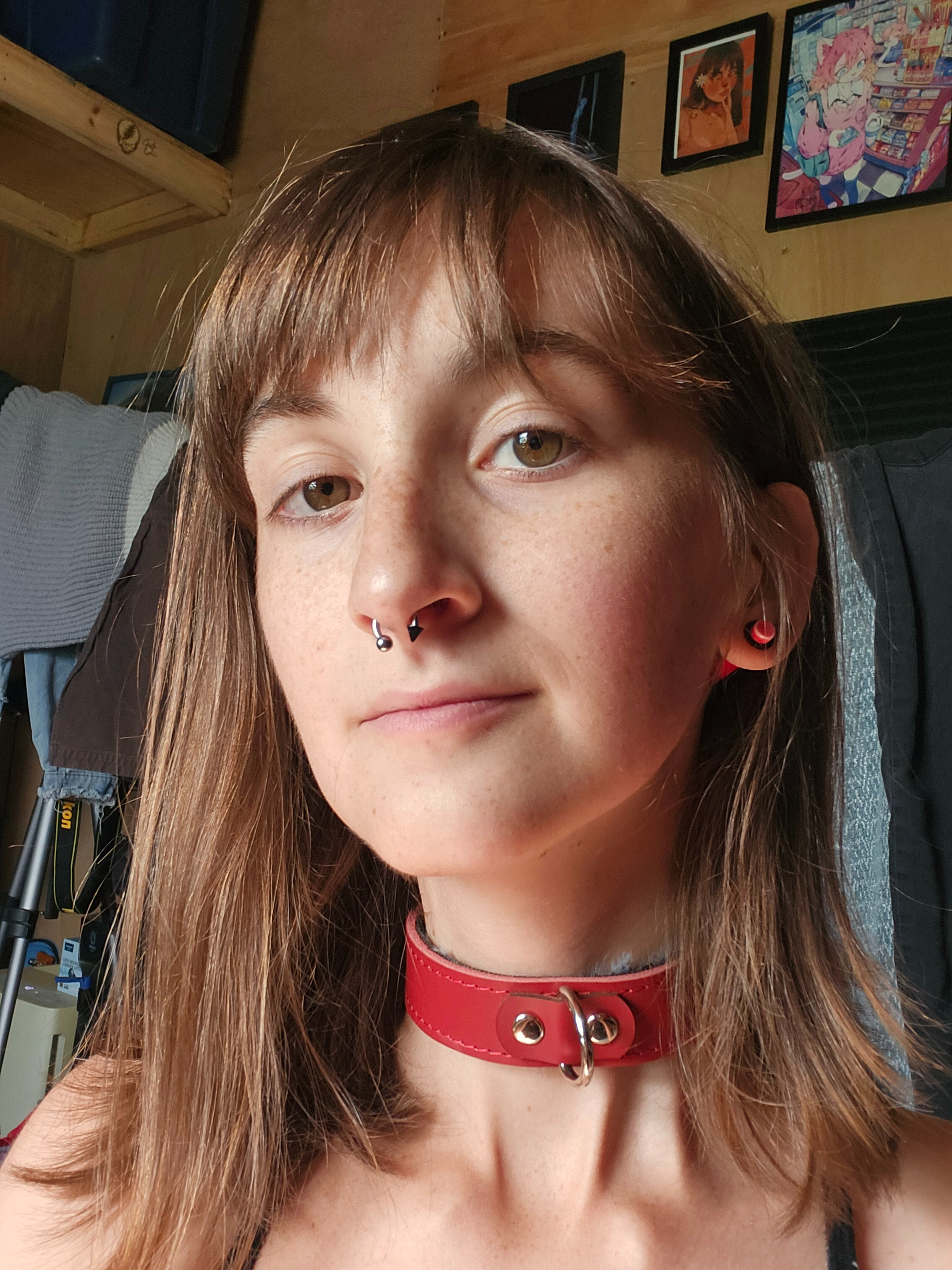 Juniper ;3🏳️‍⚧️