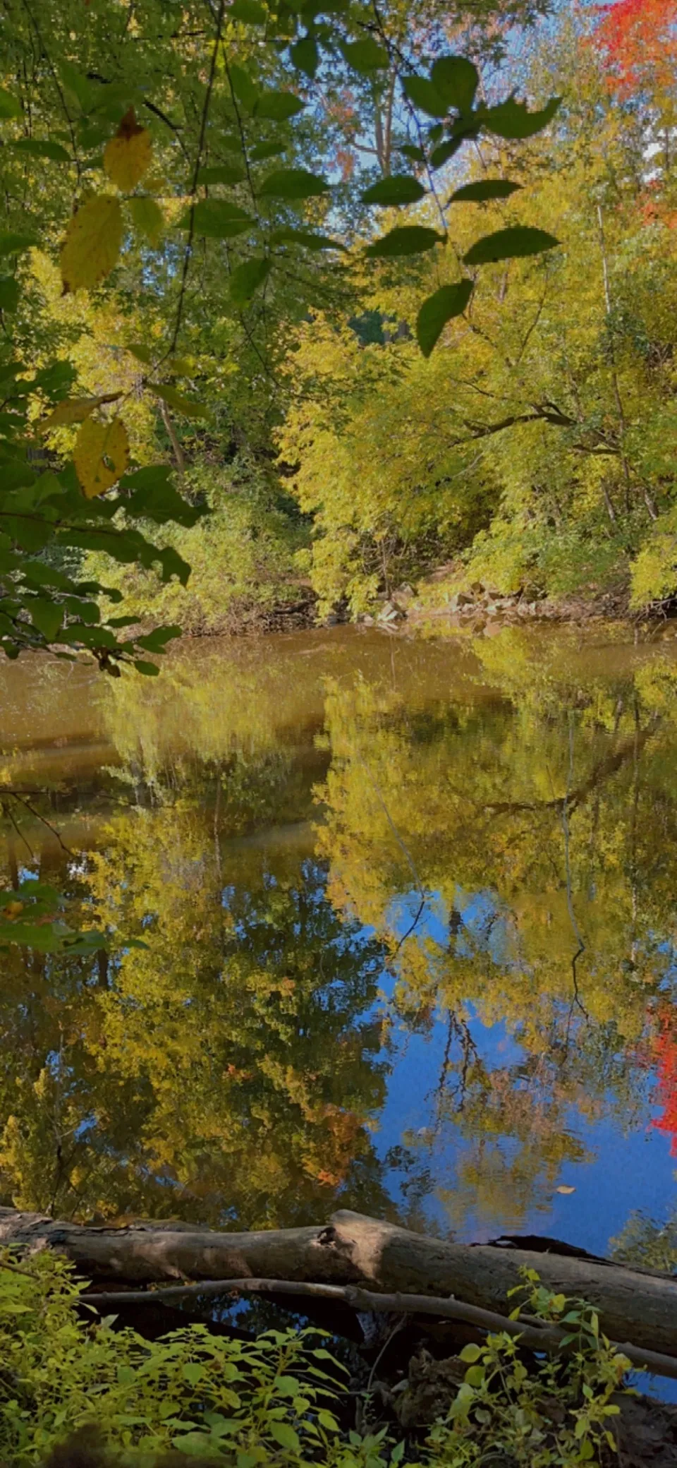 Monkeyy OnlyFans header