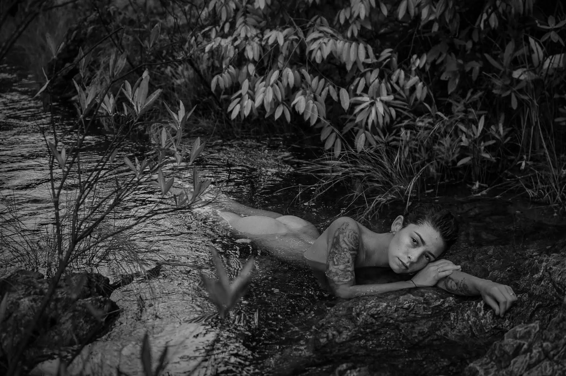 Fadinha Bailarina OnlyFans header