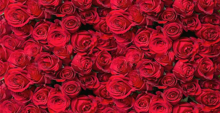 Fadinharojo OnlyFans header