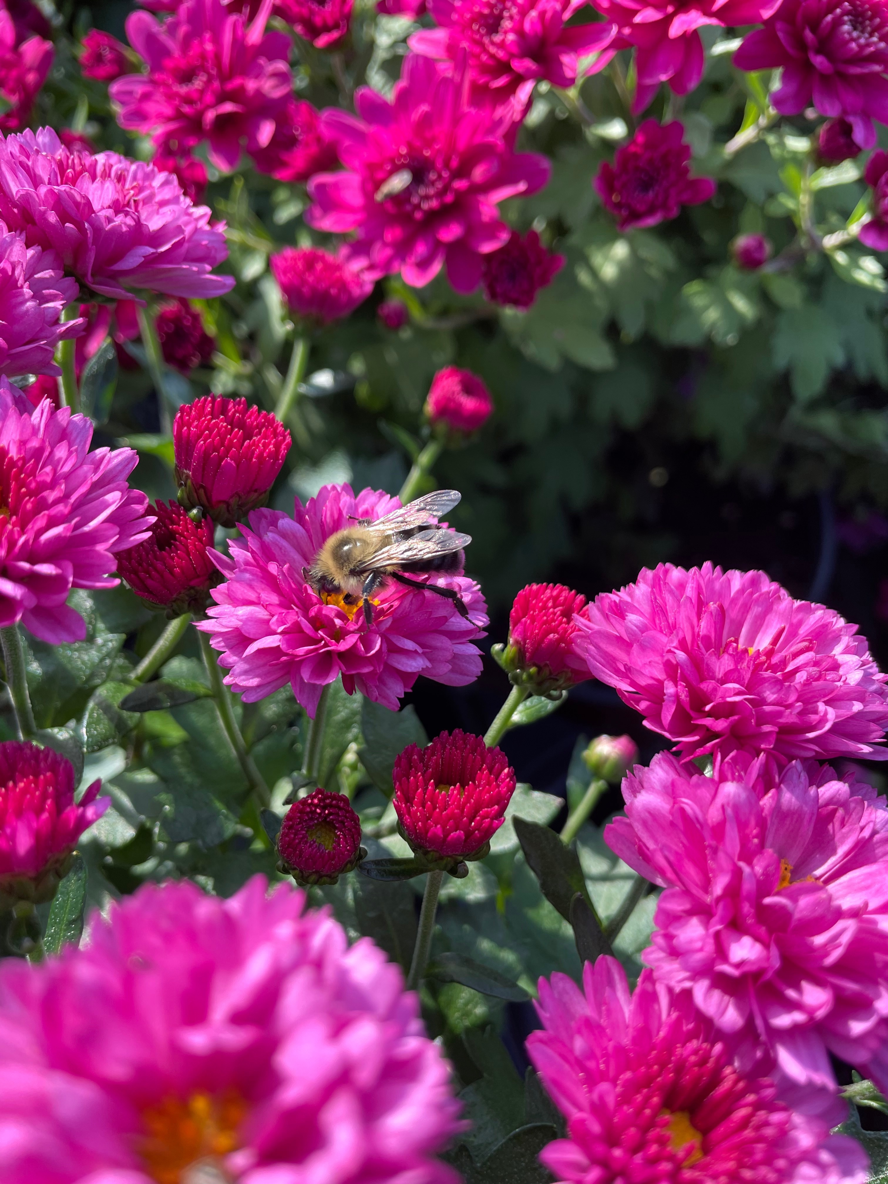 Haley OnlyFans header