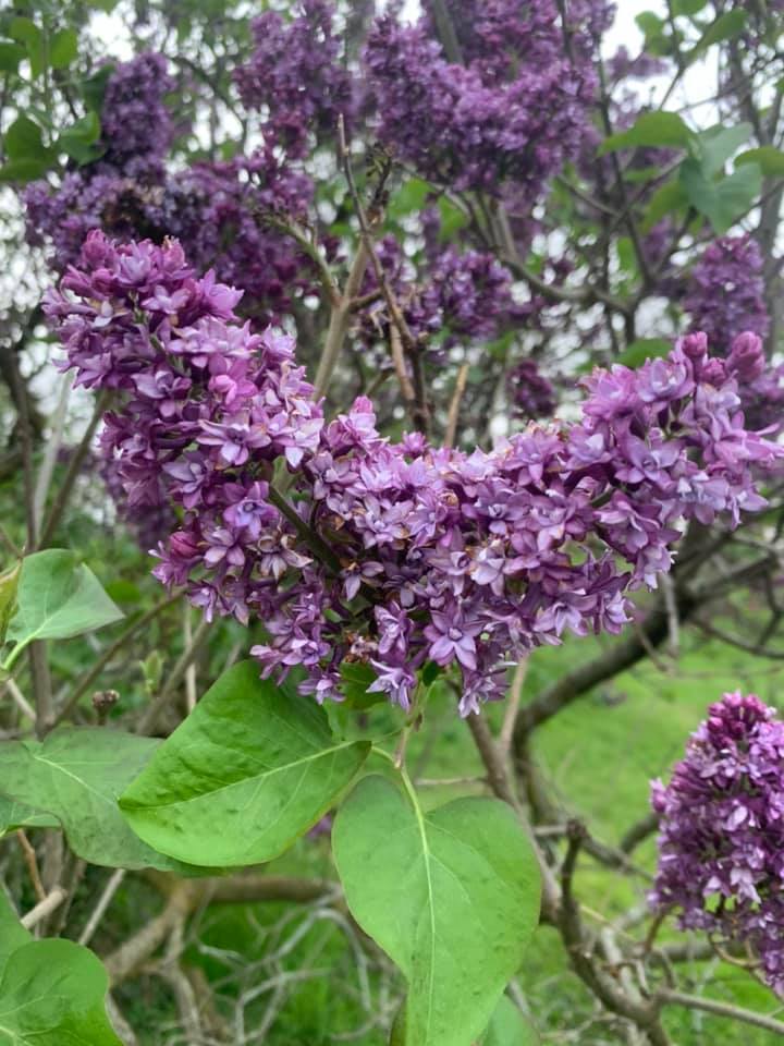 Myster OnlyFans header