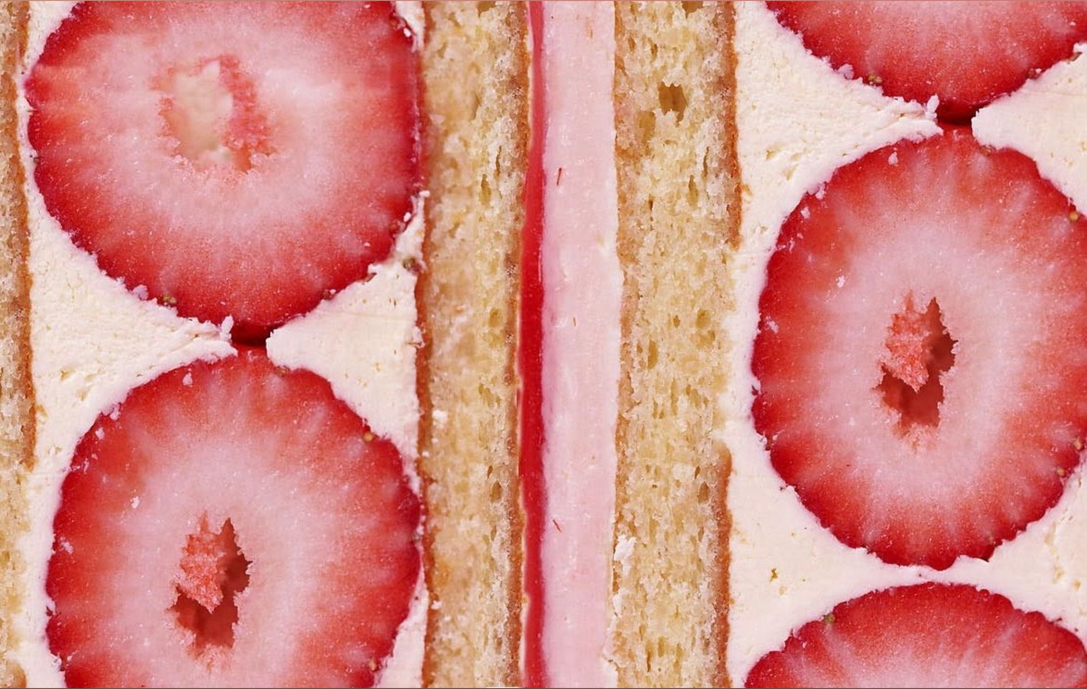 fae  ᖭི༏ᖫྀ OnlyFans header