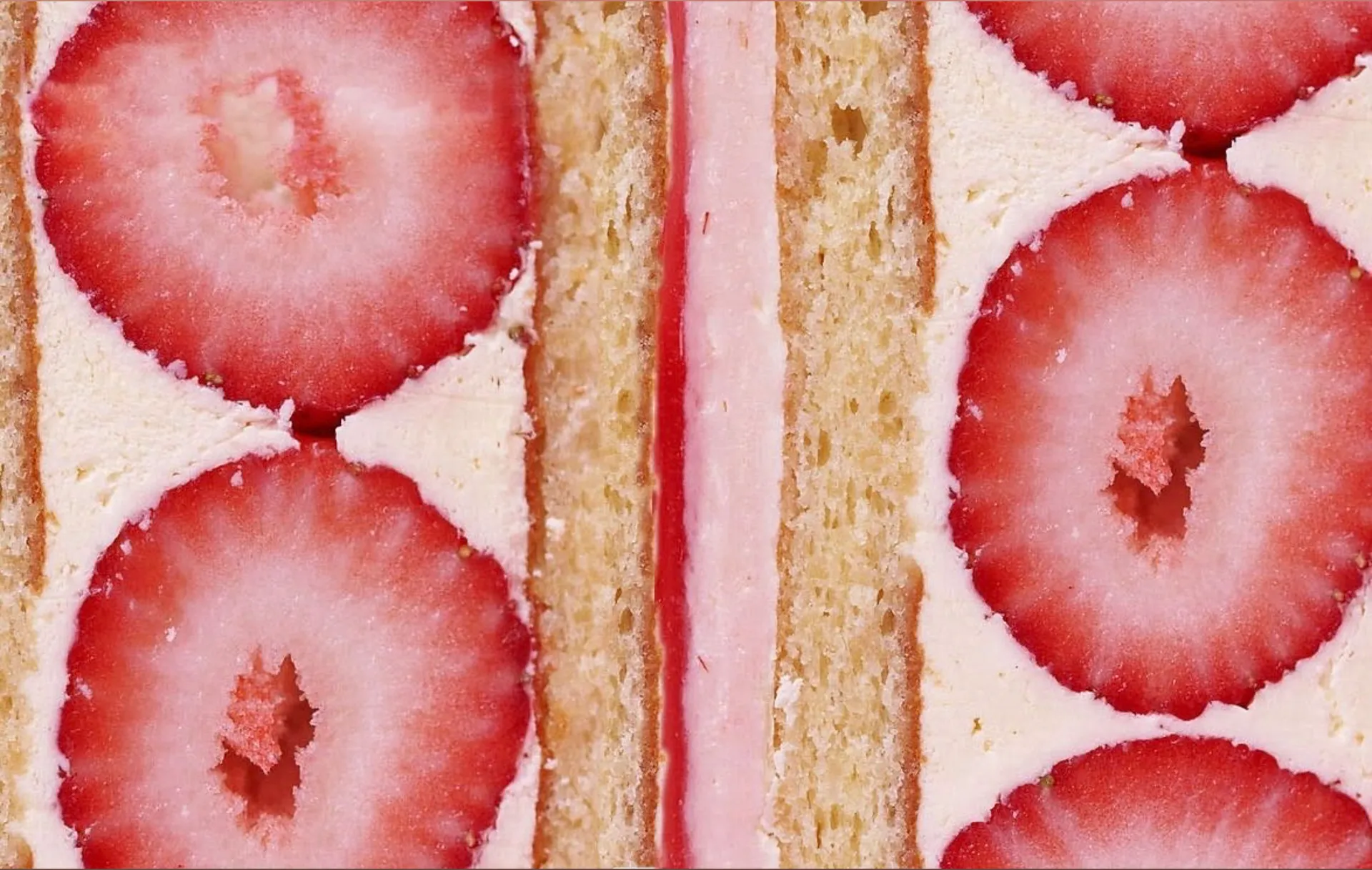 fae  ᖭི༏ᖫྀ OnlyFans header