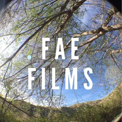 FAE FILMS