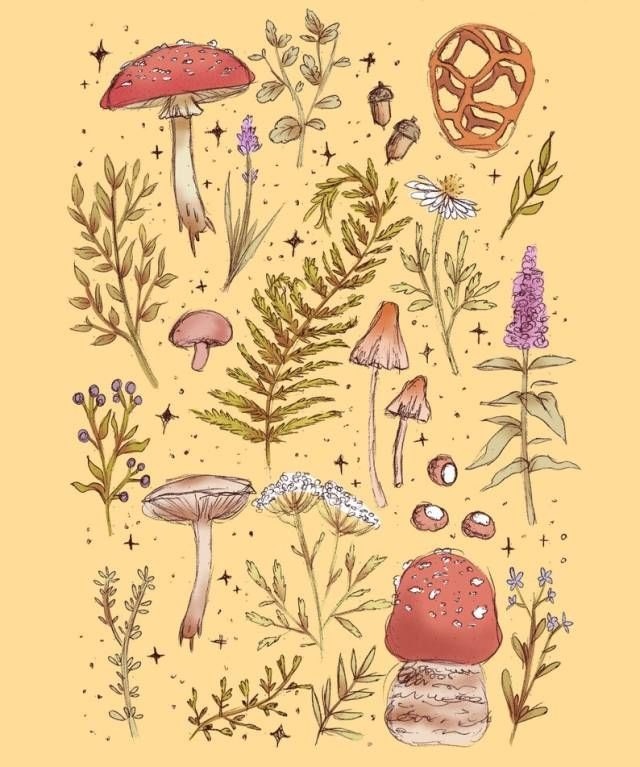 em 🧚🏻‍♀️ OnlyFans header