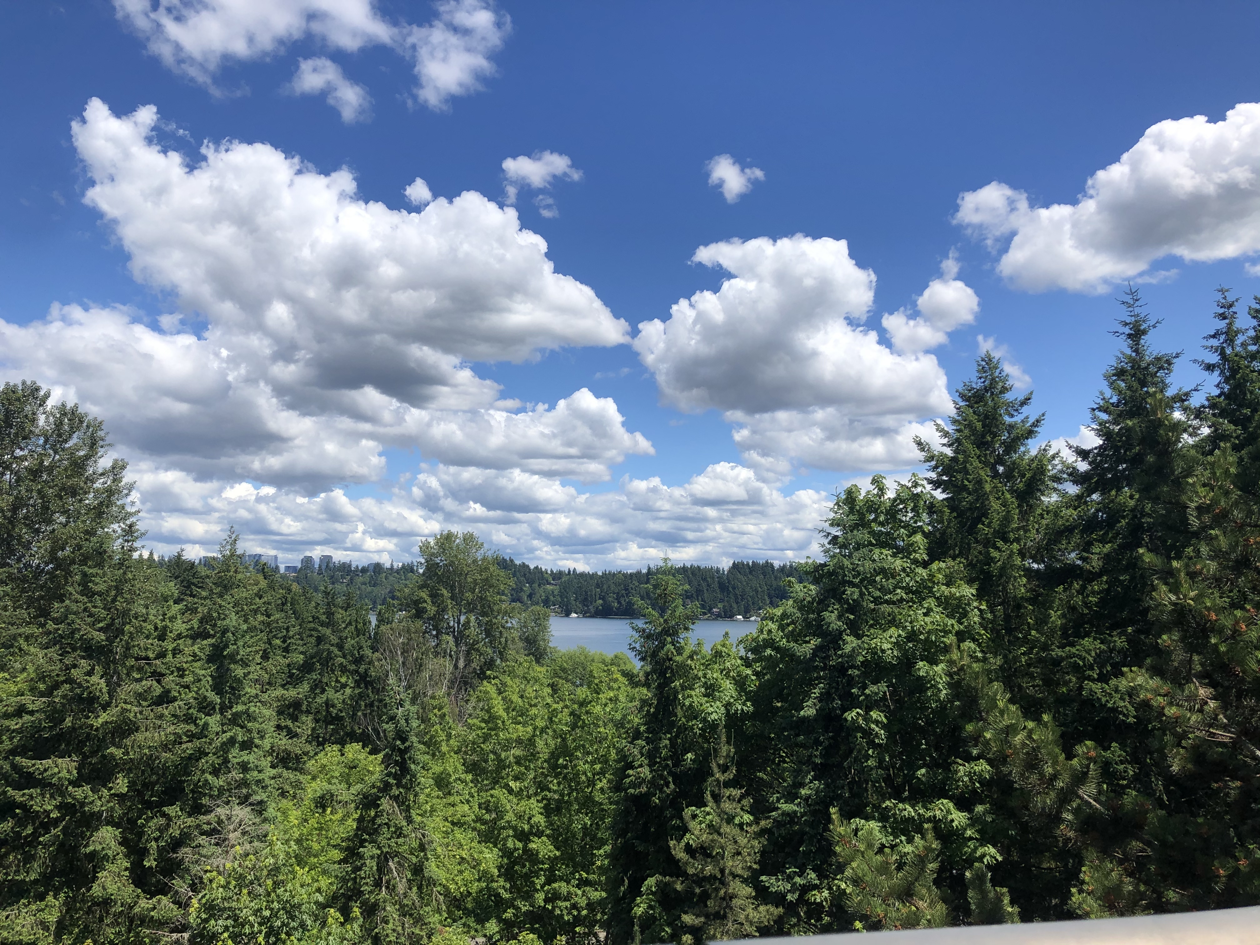 faerie euphoria ✩ OnlyFans header